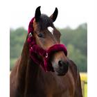 Halter QHP Alaska Dark Red-Black