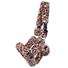 Halter QHP Alaska Leopard