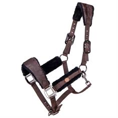 Halter QHP Classy Brown