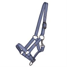 Halter QHP Foal Blue
