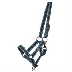 Halter QHP Foal Dark Turquoise