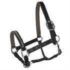 Halter QHP Lupine Leather Black-Grey