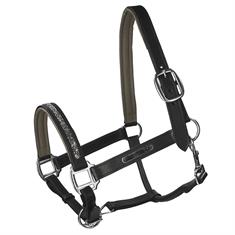 Halter QHP Lupine Leather