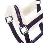 Halter Schockemöhle Melbourne Purple