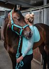 Halter Schockemöhle Memphis II Turquoise