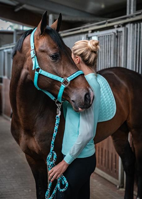 Halter Schockemöhle Memphis II Turquoise