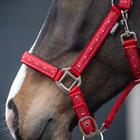 Halter Set Epplejeck EJValentine Red