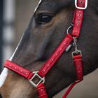 Halter Set Epplejeck EJValentine Red
