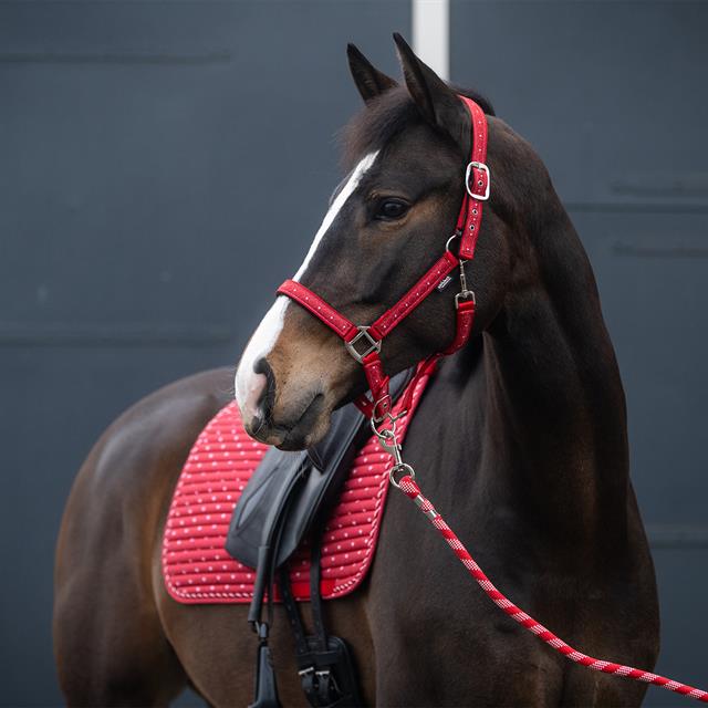 Halter Set Epplejeck EJValentine Red