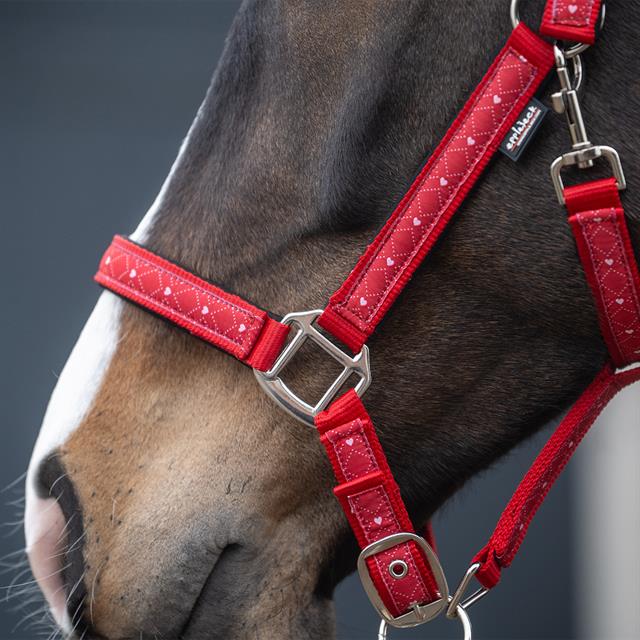 Halter Set Epplejeck EJValentine Red