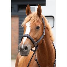Halter Set Harry's Horse Denici Cavalli Shadow Satin Brown-Grey