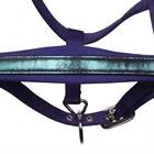Halter Set Harry's Horse Diva Violet Dark Purple
