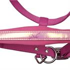 Halter Set Harry's Horse Diva Violet Pink