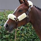 Halter Set of 4 pieces Kentucky Natural