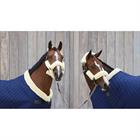 Halter Set of 4 pieces Kentucky Natural