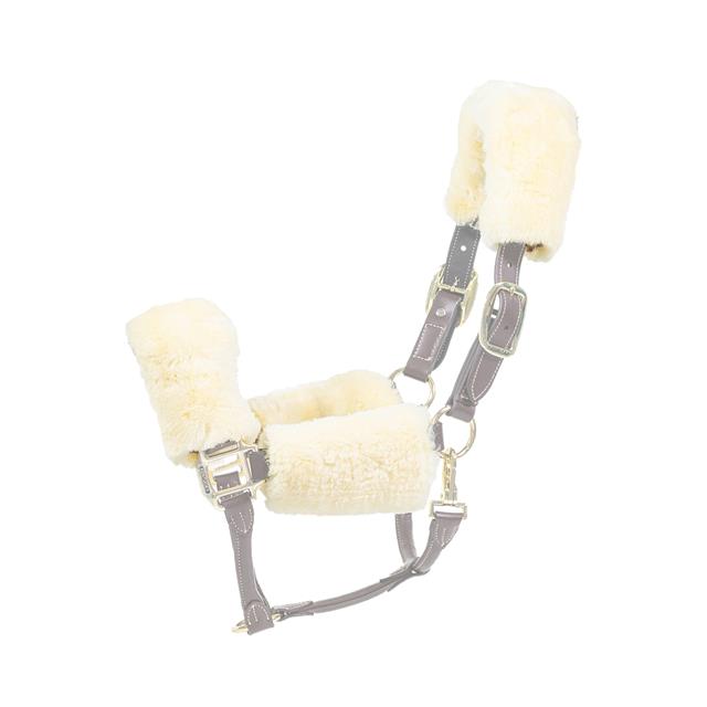 Halter Set of 4 pieces Kentucky Natural
