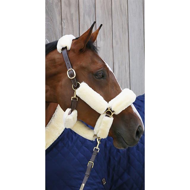 Halter Set of 4 pieces Kentucky Natural