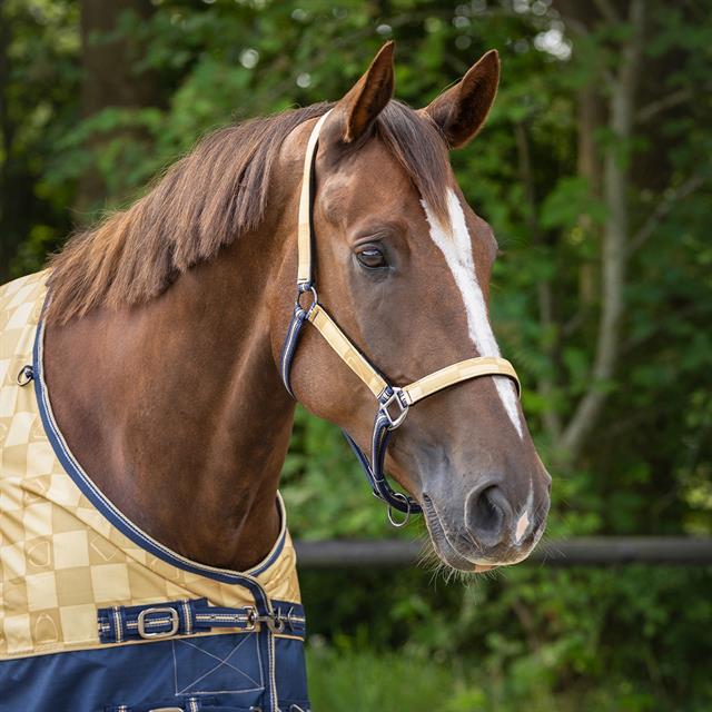 Halter Set QHP Light Yellow