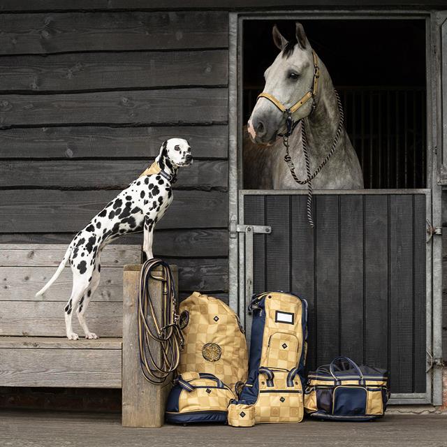 Halter Set QHP Light Yellow
