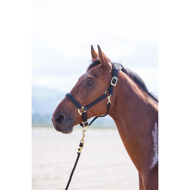 Halter Shires Topaz Nylon Black
