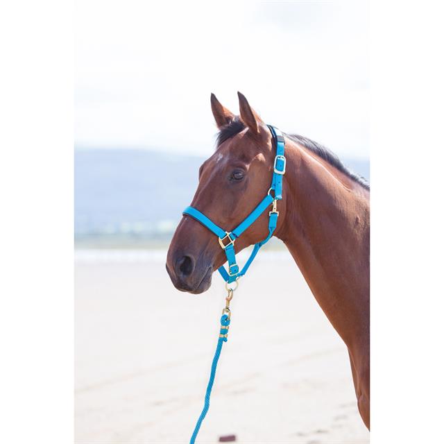 Halter Shires Topaz Nylon Blue