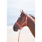 Halter Shires Topaz Nylon Orange