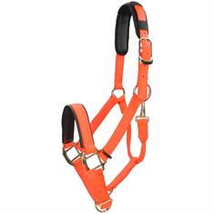 Halter Shires Topaz Nylon Orange