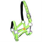 Halter With Fly Fringe Epplejeck Neon Green