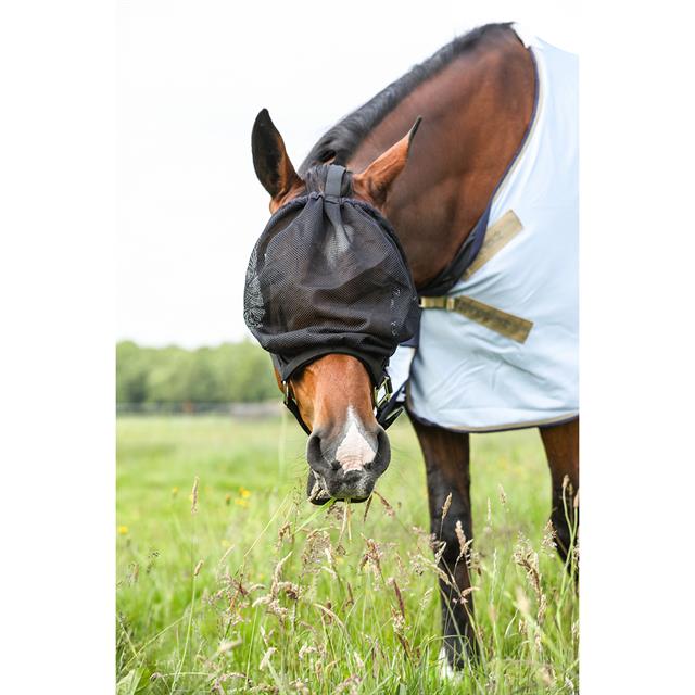 Halter with Fly Mask Epplejeck Black