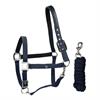 Halters Set with Crocodile Pattern HORSEGEAR Dark Blue