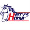 Harry's Horse