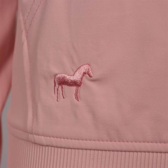 Hoodie Cycle Four ROAN Light Pink
