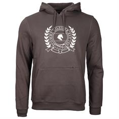 Hoodie Tommy Hilfiger Men