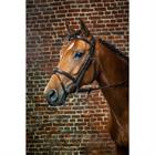 HOOFDSTEL DY'ON FLASH D COLLECTION Black