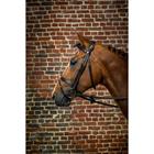 HOOFDSTEL DY'ON FLASH D COLLECTION Black