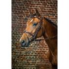 HOOFDSTEL DY'ON FLASH D COLLECTION Brown