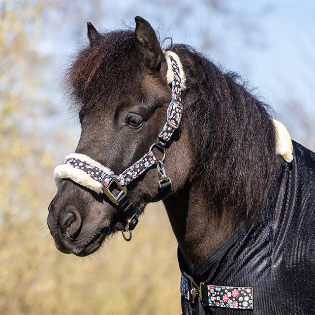 Horse Halter with Flowers Epplejeck EJLES Black