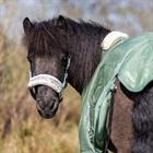Horse Halter with Flowers Epplejeck EJLES Green