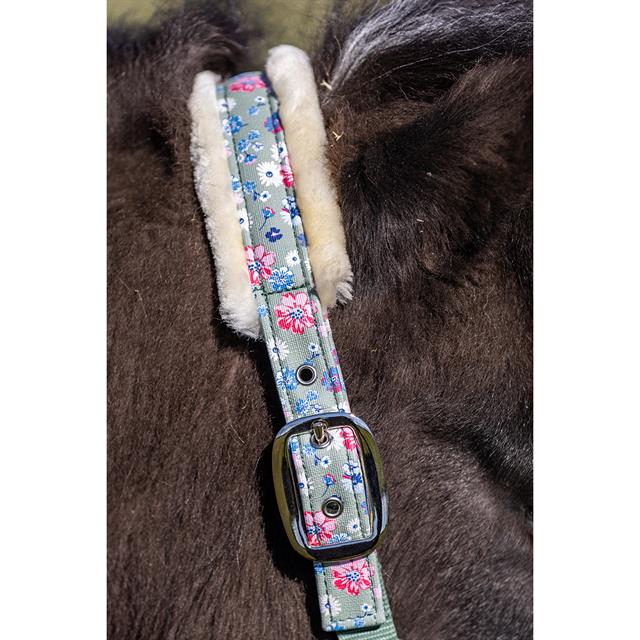 Horse Halter with Flowers Epplejeck EJLES Green