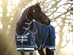 Horse rugs