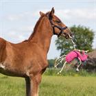 Horse Toy QHP Unicorn 