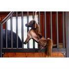 Horse Toy Relax Kentucky Brown