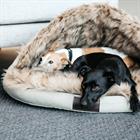 Hundebett Igloo Kentucky Brown