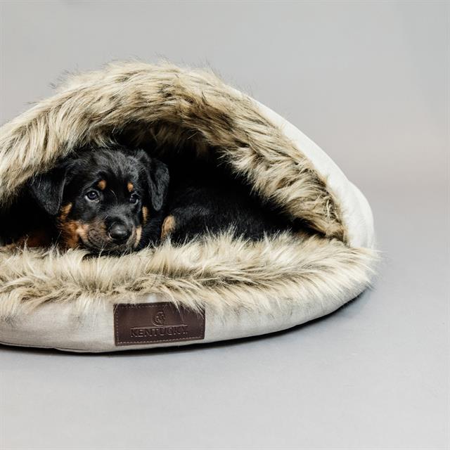Hundebett Igloo Kentucky Brown