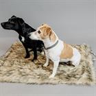 Hundedecke Fuzzy To Go Kentucky Brown