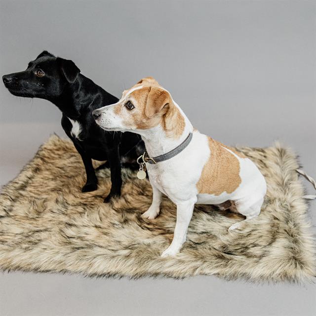 Hundedecke Fuzzy To Go Kentucky Brown