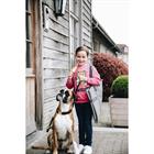 Hundedecke Travel In Style Kentucky Grey