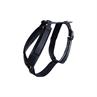 Hundegeschirr Active Velvet Kentucky Black