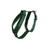 Hundegeschirr Active Velvet Kentucky Green