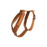 Hundegeschirr Active Velvet Kentucky Orange